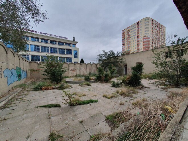Torpaq - Həzi Aslanov m. - 37 sot (1)