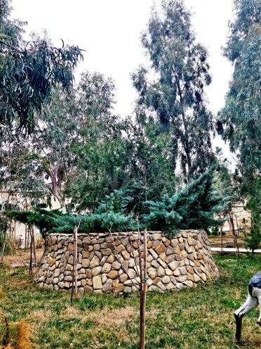 Продаётся 6-комн. дом/дача 400 м², пос. Мардакан, photo 24 from 32