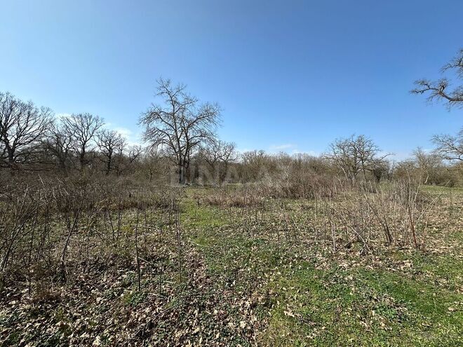 Satılır  torpaq 350 sot, Nabran r., photo 3 from 32