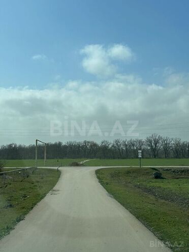 Satılır  torpaq 350 sot, Nabran r., photo 17 from 32