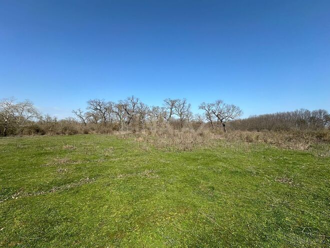 Satılır  torpaq 350 sot, Nabran r., photo 8 from 32