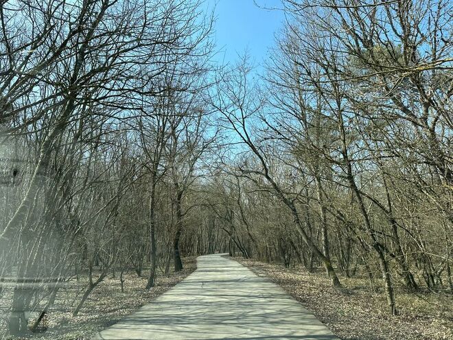 Satılır  torpaq 350 sot, Nabran r., photo 7 from 32