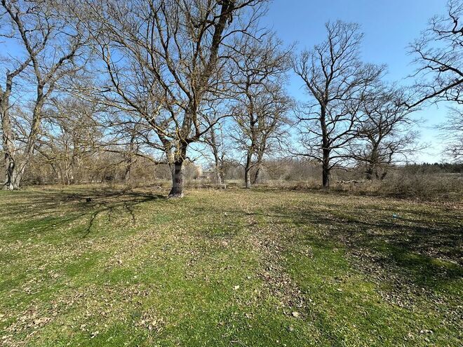 Satılır  torpaq 350 sot, Nabran r., photo 6 from 32