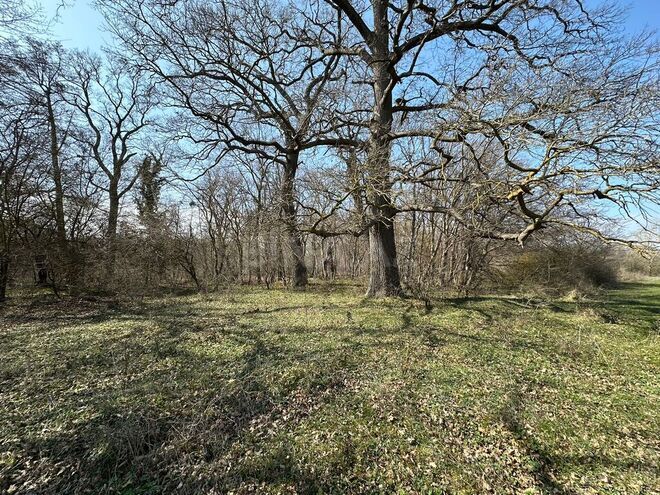 Satılır  torpaq 350 sot, Nabran r., photo 14 from 32