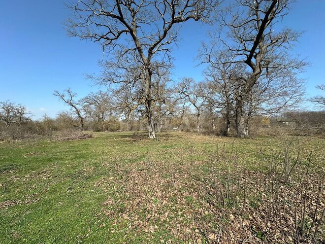 Satılır  torpaq 350 sot, Nabran r., photo 19 from 32