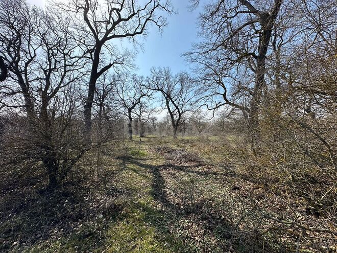 Satılır  torpaq 350 sot, Nabran r., photo 12 from 32