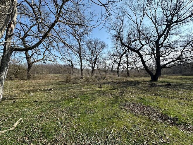 Satılır  torpaq 350 sot, Nabran r., photo 25 from 32