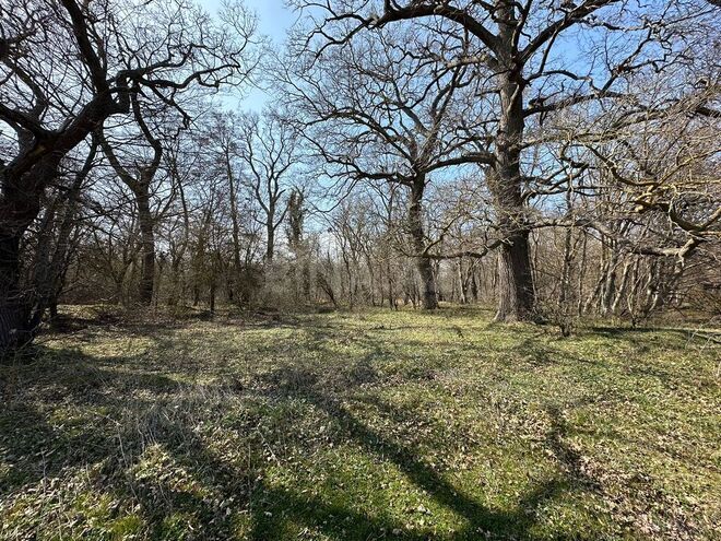 Satılır  torpaq 350 sot, Nabran r., photo 24 from 32