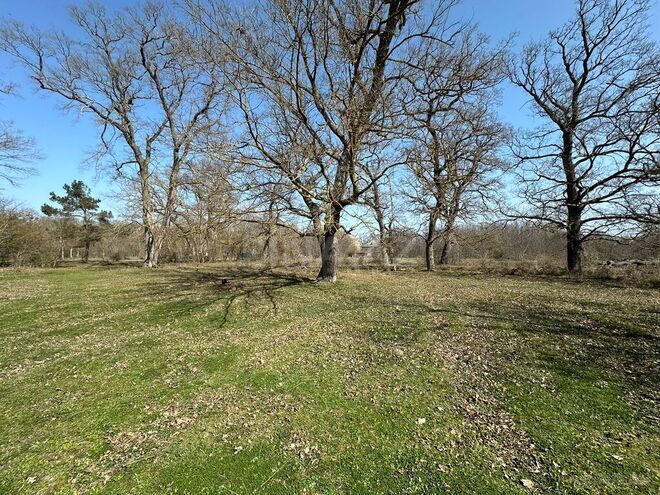 Satılır  torpaq 350 sot, Nabran r., photo 15 from 32