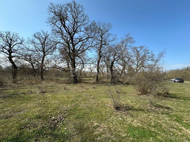 Satılır  torpaq 350 sot, Nabran r., photo 18 from 32