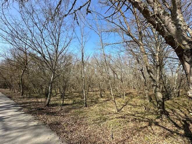 Satılır  torpaq 350 sot, Nabran r., photo 28 from 32