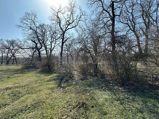 Satılır  torpaq 350 sot, Nabran r., photo 27 from 32