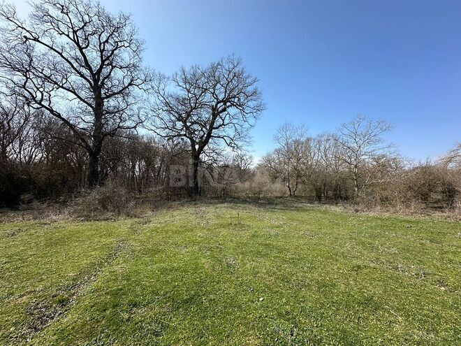 Satılır  torpaq 350 sot, Nabran r., photo 4 from 32