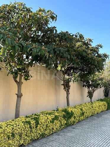 10 otaqlı həyət evi/bağ evi - Badamdar q. - 800 m² (2)