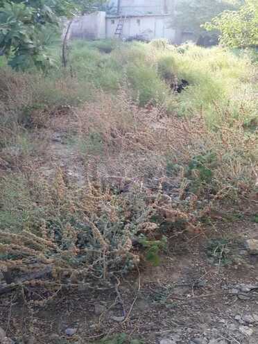 Satılır  torpaq 10 sot, Əhmədli m., photo 5 from 7