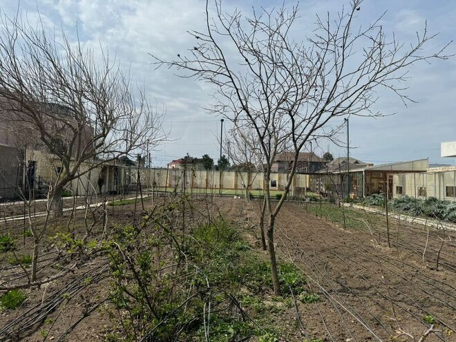 Участок - пос. Мардакан - 18 сот (8)