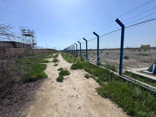 İcarəyə verilir  torpaq 200 sot, Sahil q., photo 8 from 18