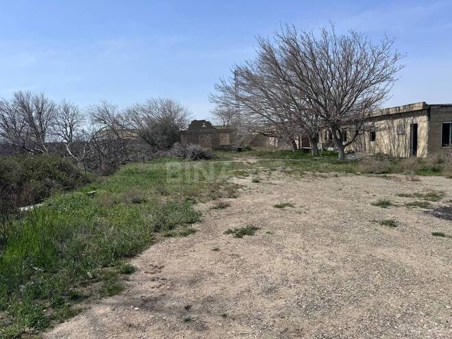 İcarəyə verilir  torpaq 200 sot, Sahil q., photo 7 from 18