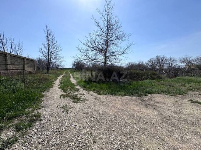 İcarəyə verilir  torpaq 200 sot, Sahil q., photo 9 from 18