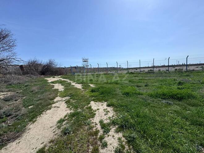 İcarəyə verilir  torpaq 200 sot, Sahil q., photo 3 from 18