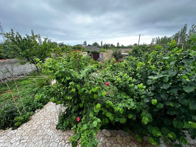 Сдаётся 4-комн. дом/дача 90 м², Набрань р., photo 29 from 31