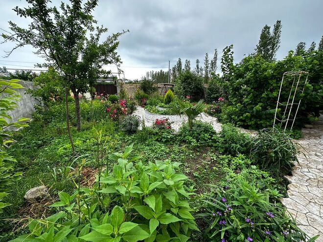 Сдаётся 4-комн. дом/дача 90 м², Набрань р., photo 24 from 31