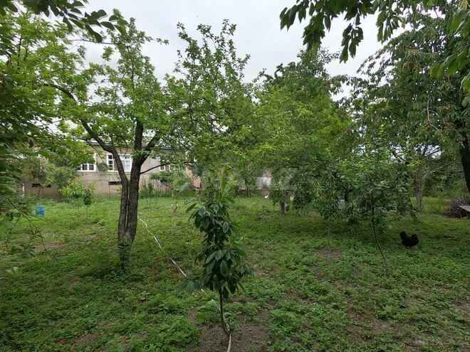 3-комн. дом/дача - Губа - 70 м² (17)