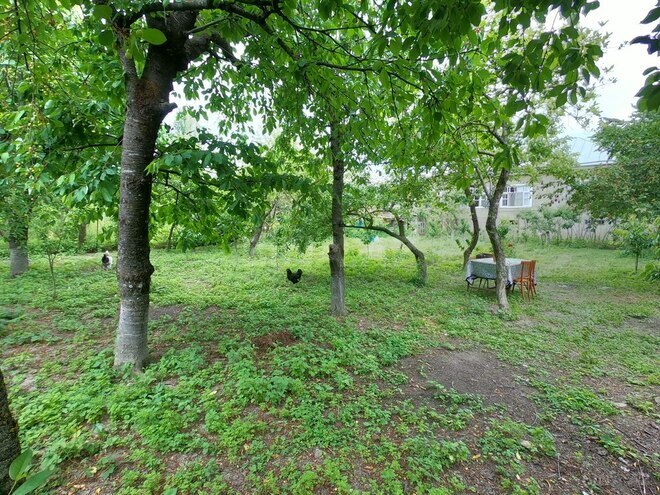 3-комн. дом/дача - Губа - 70 м² (4)