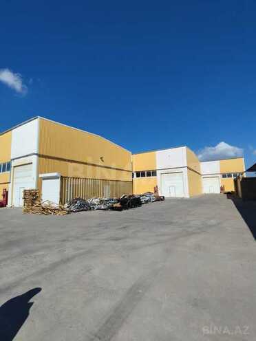 Объект - пос. Кобу - 3000 м² (3)
