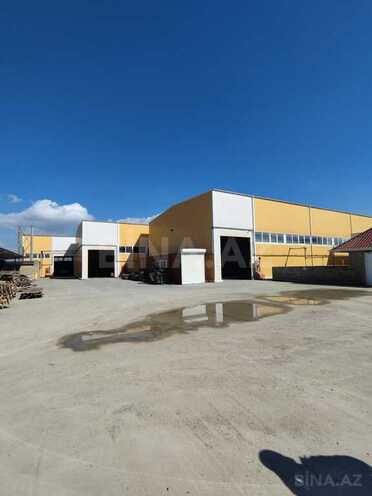 Объект - пос. Кобу - 3000 м² (1)