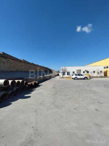 Объект - пос. Кобу - 3000 м² (7)
