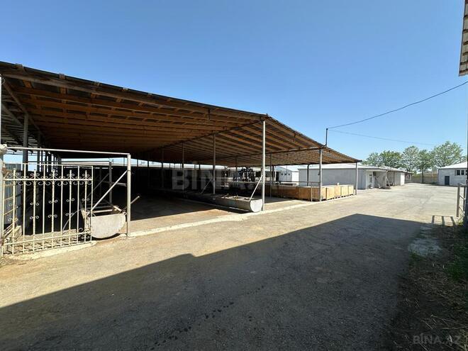 Продаётся  объект 40 000 м², photo 12 from 32