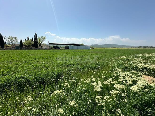 Продаётся  объект 40 000 м², photo 16 from 32