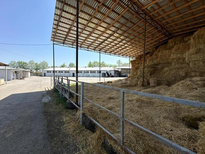 Продаётся  объект 40 000 м², photo 5 from 32