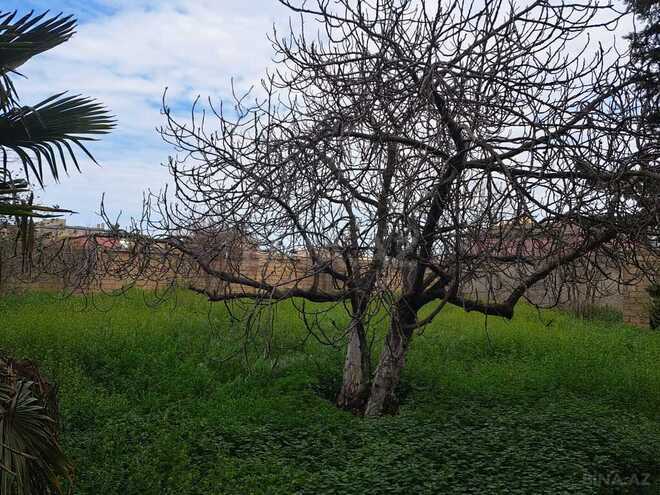 7 otaqlı həyət evi/bağ evi - Novxanı q. - 293 m² (7)