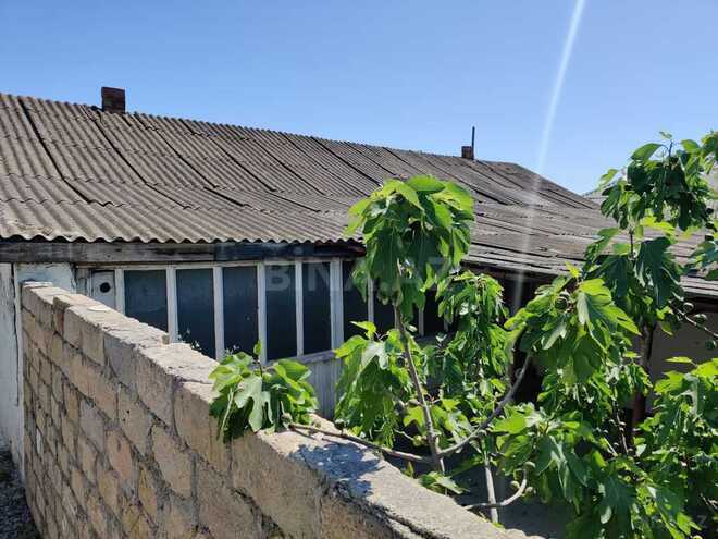 2 otaqlı həyət evi/bağ evi - Şabran - 79 m² (8)
