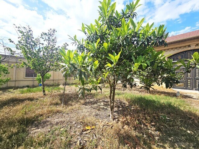 10 otaqlı həyət evi/bağ evi - Ağ şəhər q. - 1000 m² (20)