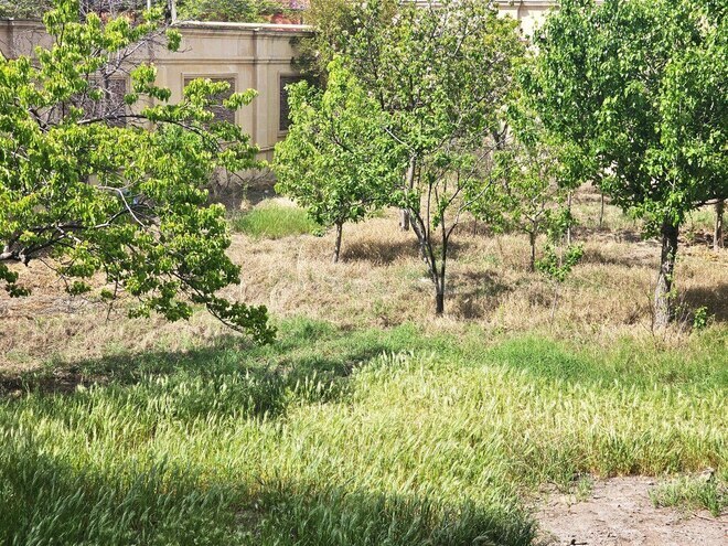 10 otaqlı həyət evi/bağ evi - Ağ şəhər q. - 1000 m² (18)