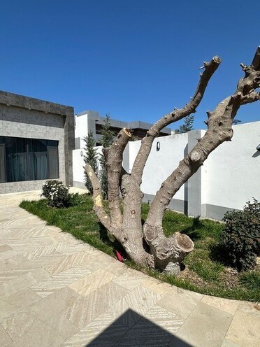 4 otaqlı həyət evi/bağ evi - Mərdəkan q. - 200 m² (4)