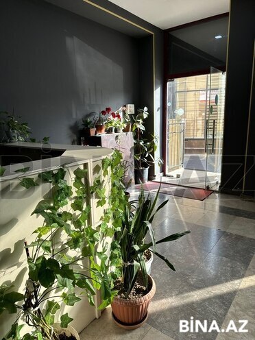 1 otaqlı ofis - Nərimanov r. - 25 m² (3)