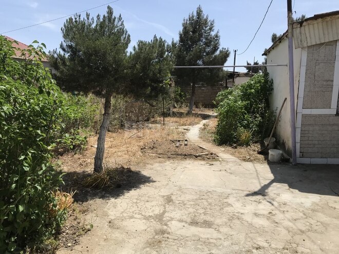 3 otaqlı həyət evi/bağ evi - Albalılıq q. - 45 m² (14)