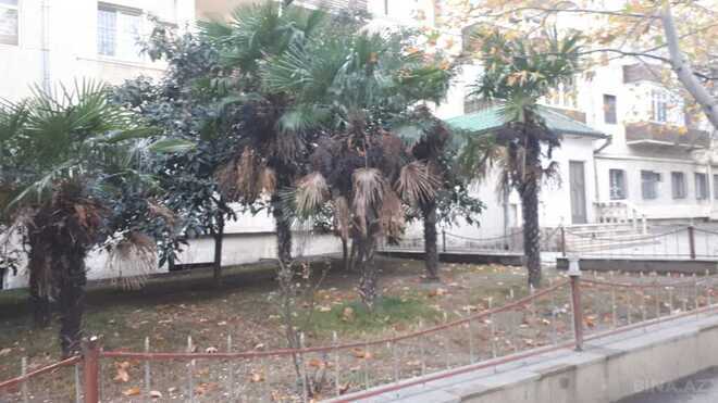 Obyekt - Yasamal r. - 500 m² (8)
