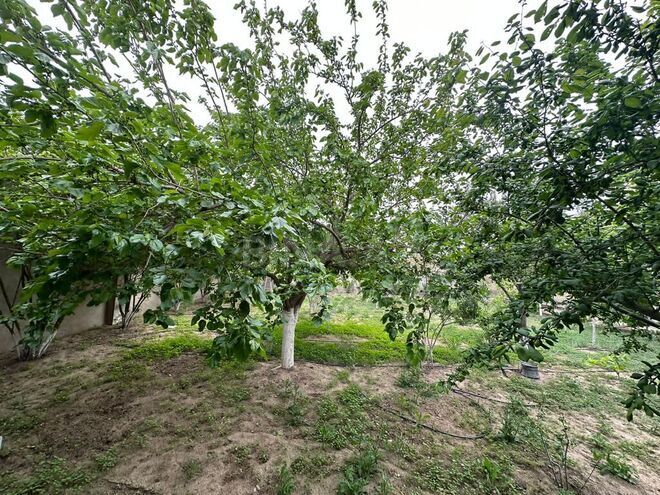 Satılır  torpaq 7 sot, Şağan q., photo 8 from 10
