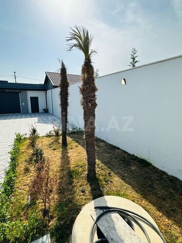 9 otaqlı həyət evi/bağ evi - Nardaran q. - 350 m² (9)