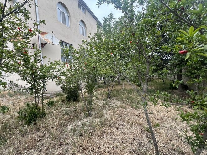 8 otaqlı həyət evi/bağ evi - Avtovağzal m. - 350 m² (5)