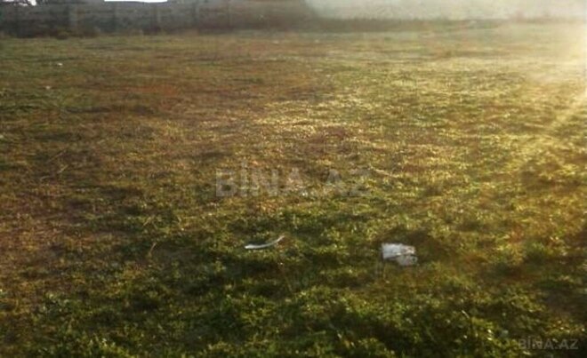 Продаётся  участок 50 сот, пос. Бина, photo 7 from 8