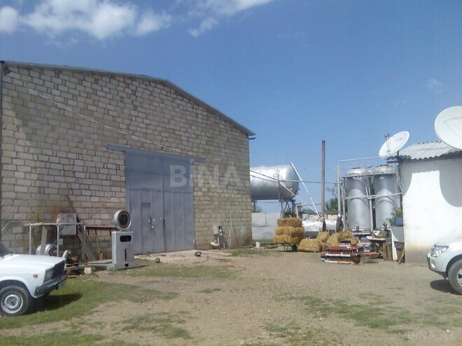 Участок - Товуз - 131 сот (5)