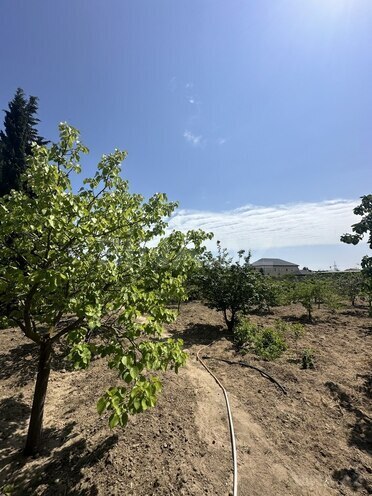 Torpaq - Şüvəlan q. - 30 sot (2)
