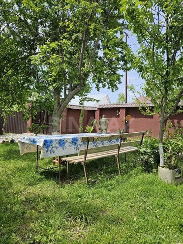 5 otaqlı həyət evi/bağ evi - Qəbələ - 120 m² (6)