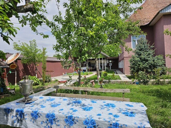 5 otaqlı həyət evi/bağ evi - Qəbələ - 120 m² (9)
